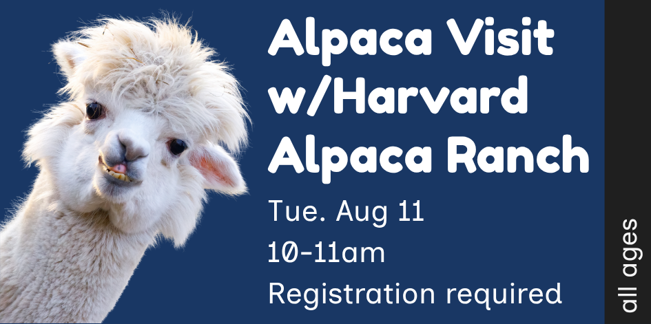Announcement about Alpaca Visit w/ Harvard Alpaca Ranch. All ages program on 8/15/26 at 10am. Link to more details.