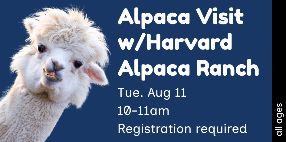 Announcement about Alpaca Visit w/ Harvard Alpaca Ranch. All ages program on 8/15/26 at 10am. Link to more details.