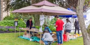 Photo of Book Sale